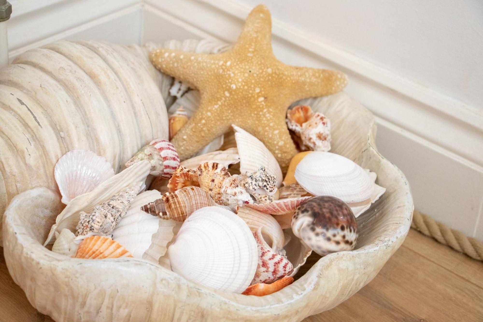 The Beach House Holiday Apartments Eastbourne Eksteriør bilde